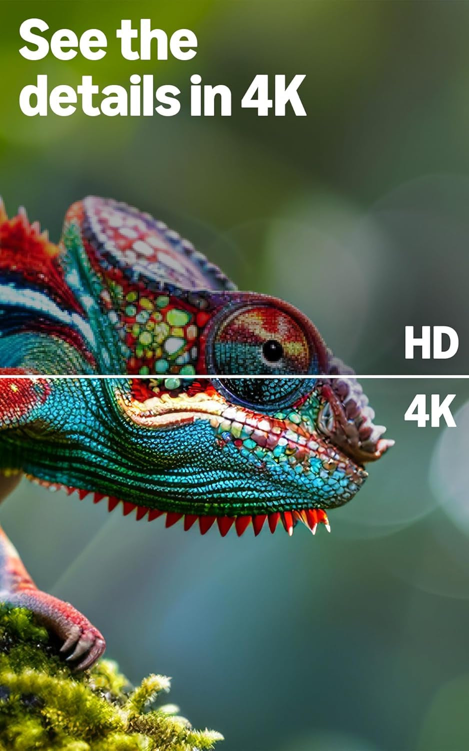 Ember 55" 4-Series with Fire TV (Newest Model), 4K Ultra HD Smart TV with Alexa Remote, HDR10+, Fast Processor, Dolby Audio, Ambient Experience, Free and Live TV, Find Shows Faster with Alexa+