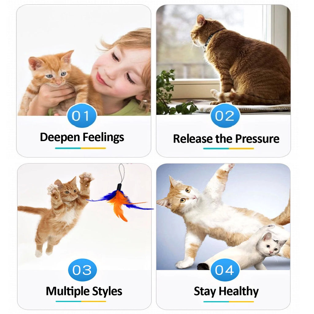 11 PCS Cat Feather Toy, Multiple Styles Feather Refills for Cat Toys, Replacement Feather Toy with Bell Refills, Interactive Catcher Teaser and Funny Exercise for Kitten or Cats