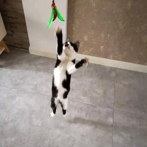 11 PCS Cat Feather Toy, Multiple Styles Feather Refills for Cat Toys, Replacement Feather Toy with Bell Refills, Interactive Catcher Teaser and Funny Exercise for Kitten or Cats